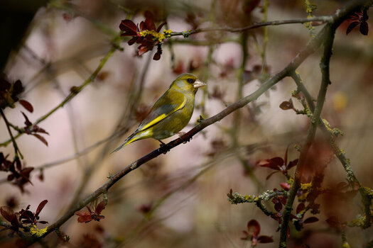 DSC_6176_DxO.jpg