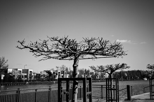 BE060425-18.jpg