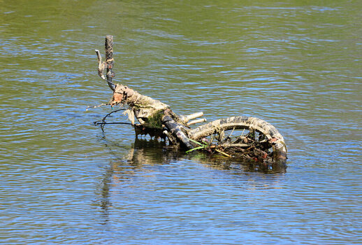DSC_0012.JPG
