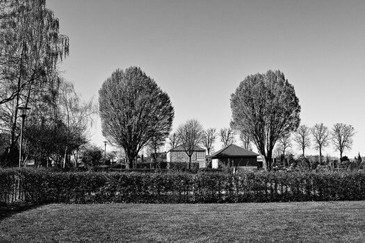 BE060425-11.jpg