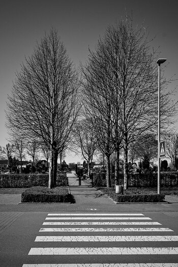 BE060425-4.jpg
