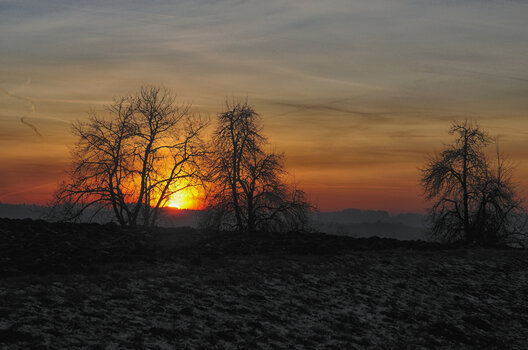_DSC8807.f.f.jpg