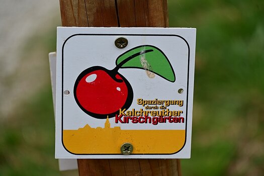 DSC_1470_k.jpg