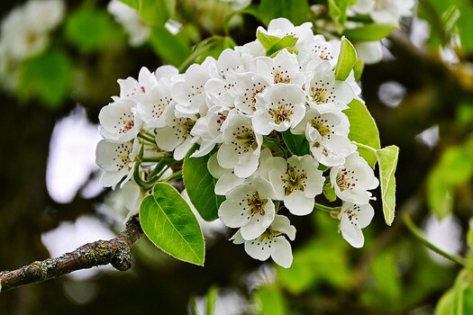 DSC_1475_l_k.jpg