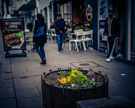 OS150325-25.jpg