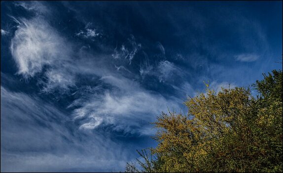 comp_Wolken über Busch und Land.jpg