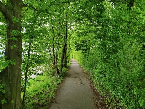20250418_170747.jpeg
