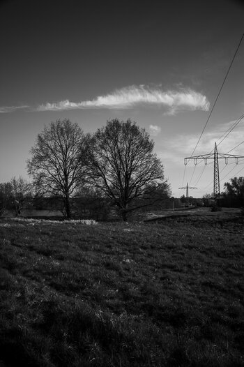 BR080425-14.jpg