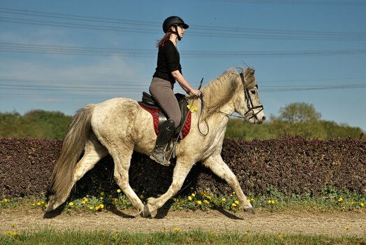 DFX_4241.jpg