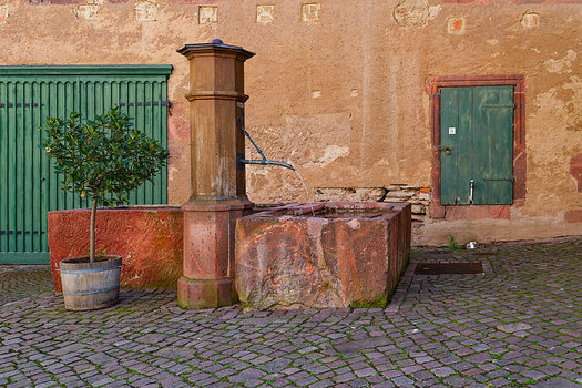 750_2739_DxO.jpg