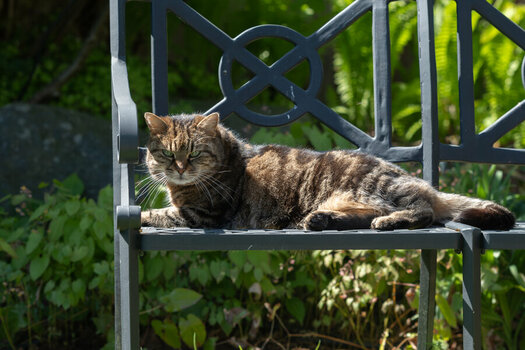 DSC_1531.jpg