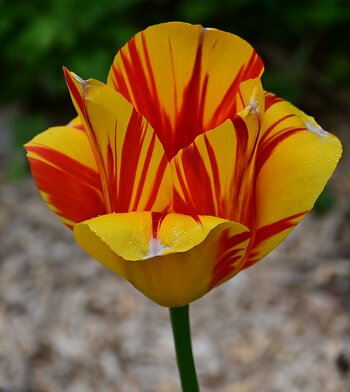 DSC_1749_k.jpg