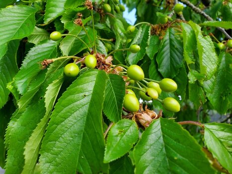 2025-04-30_10-36-30.jpg