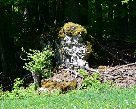 DSC_2025_k.jpg