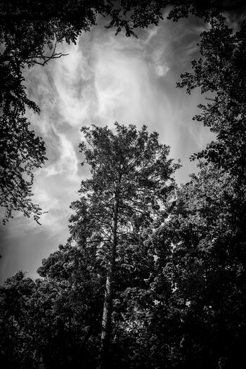 OS030525-76.jpg