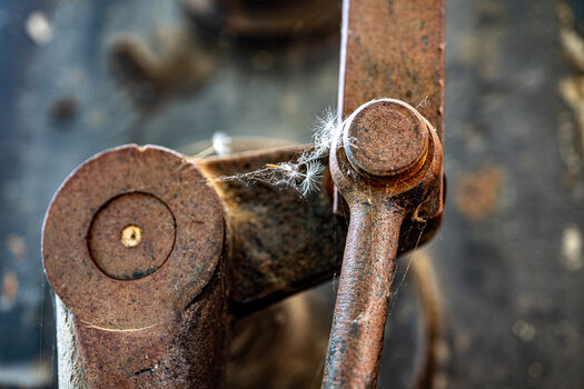 OS030525-73.jpg