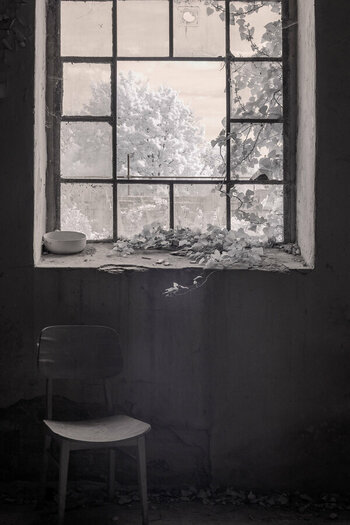fenster25.jpg