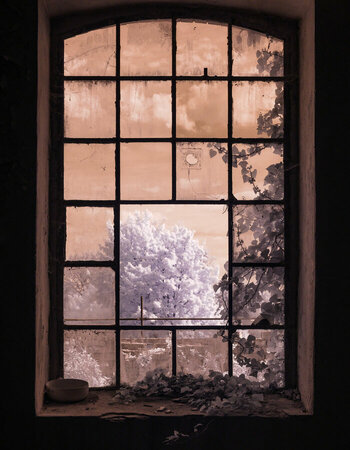 fenster26b.jpg