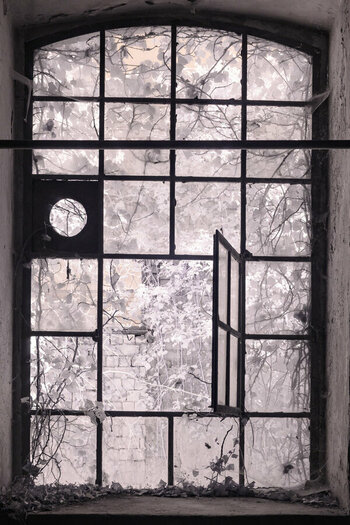 fenster27.jpg
