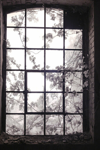 fenster31.jpg