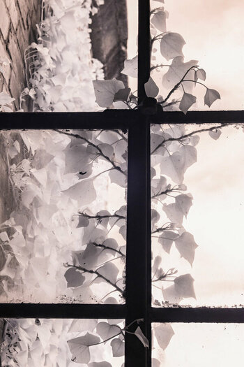 fenster32.jpg