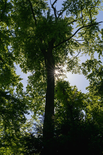 OS030525-77.jpg