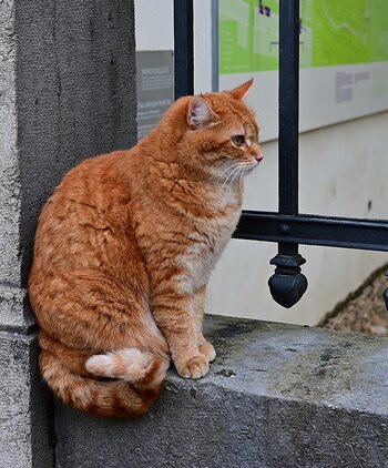 DSC_1672_k.jpg