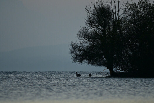 DSC_8734_01.JPG
