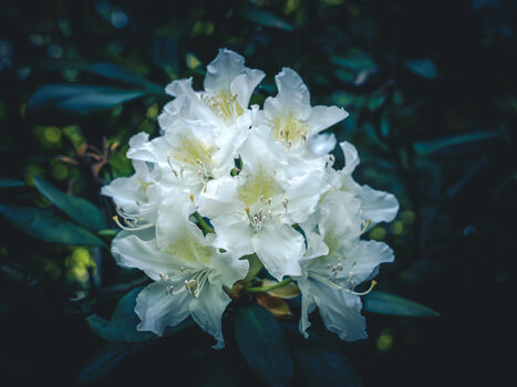 OS030525-79.jpg