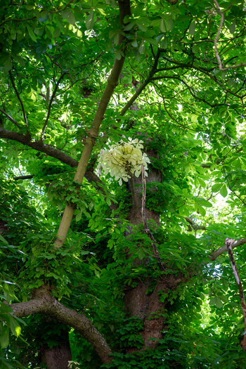 OS030525-85.jpg