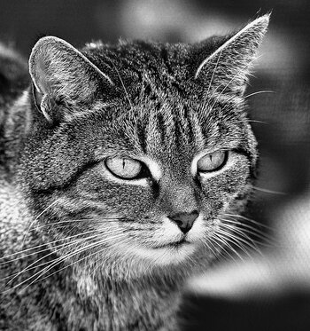 DSC_2088_l3_k.jpg