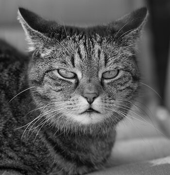 DSC_2085_l2_k.jpg