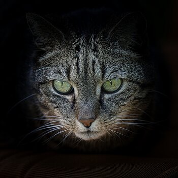 DSC_2076_l2_k.jpg