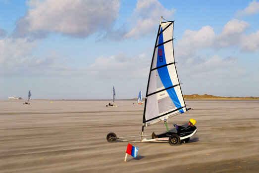 DSC_0016###.JPG