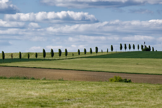 DSC_0159_DxO_1.jpg