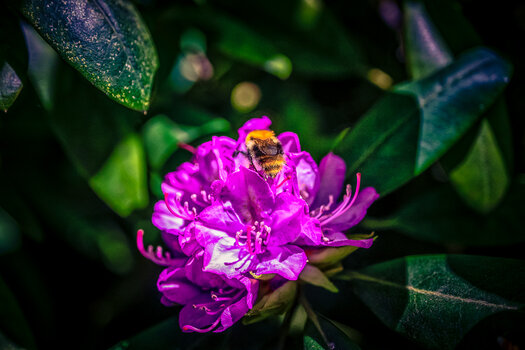 OS030525-86.jpg