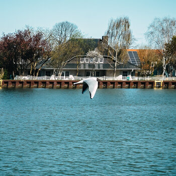 BE060425-7.jpg