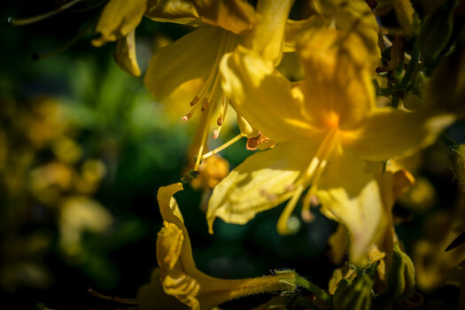 OS030525-92.jpg