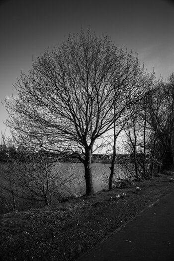 BR080425-19.jpg