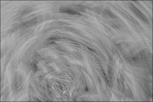 comp_Der Wind wischt alle Farben fort.jpg