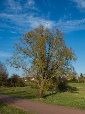 BR080425-25.jpg