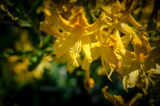 OS030525-93.jpg