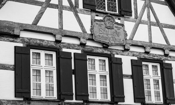 comp_DSC_1235.jpg