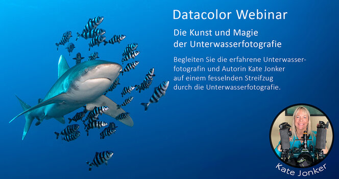 Datacolor_Kate_Jonker_Webinar.jpg Datacolor_Kate_Jonker_Webinar.jpg