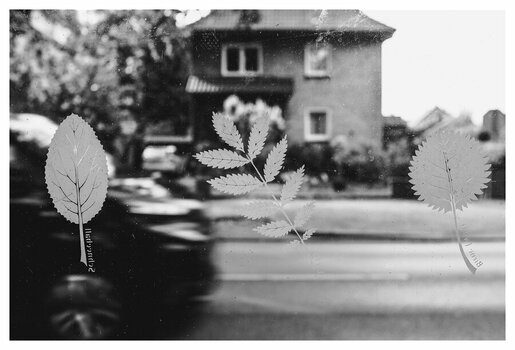 xAn der Strasse (1 von 2).jpg