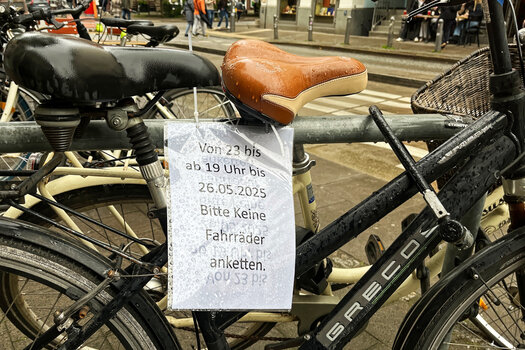 IMG_0775_2025_DxO.jpg