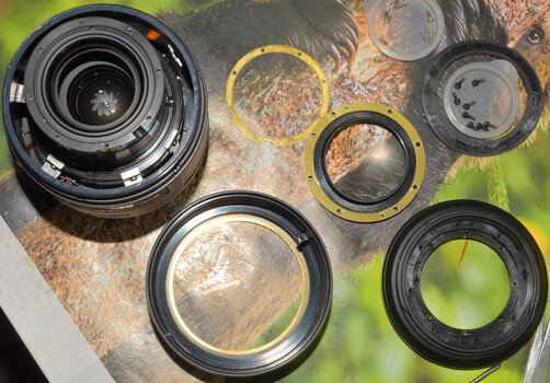 www.nikon-fotografie.de