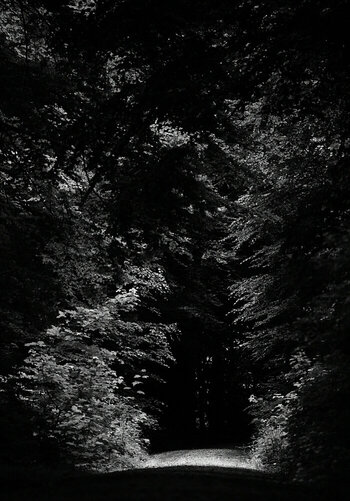 ZGF_3689_01.JPG