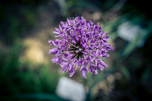 OS030525-102.jpg