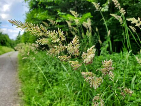 2025-06-08_10-40-09.jpg